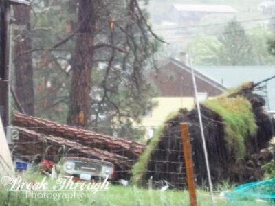 Living Off Grid – Tornado in Washington State? Image